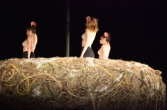 Le Nid 18 * 5616 x 3744 * (12.26MB)